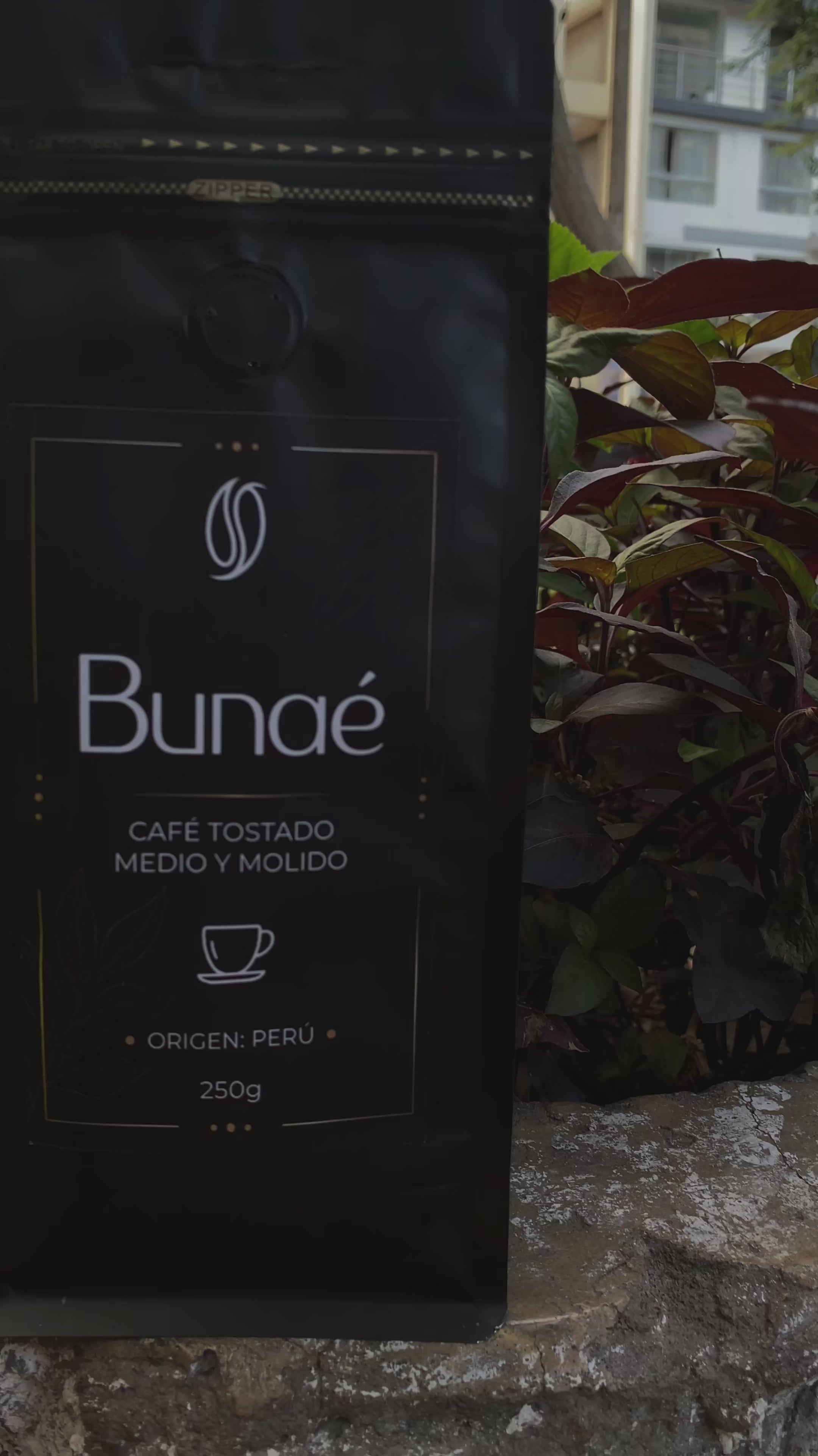 Combo Descubre Bunaé